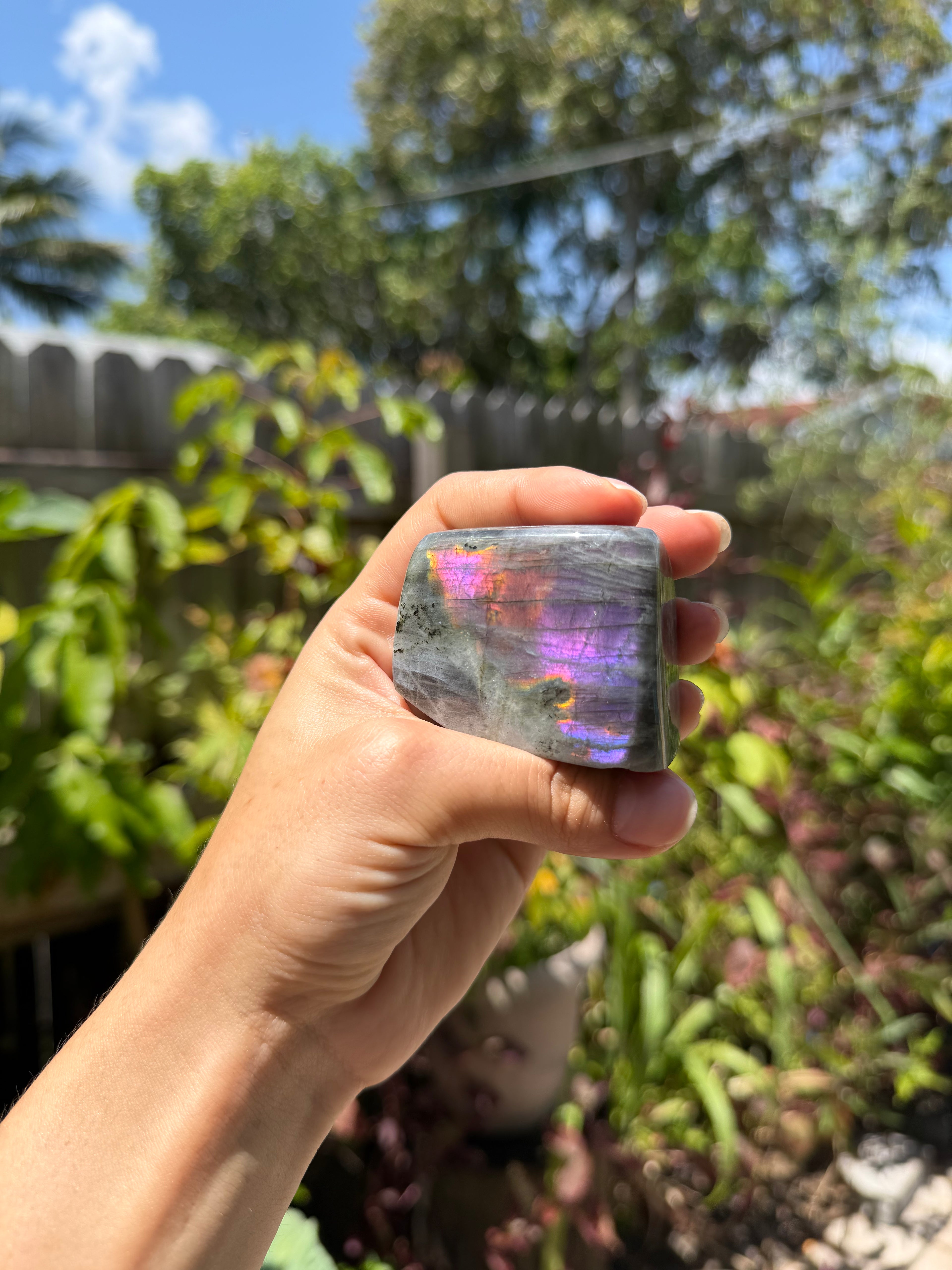 Labradorite Freeforms