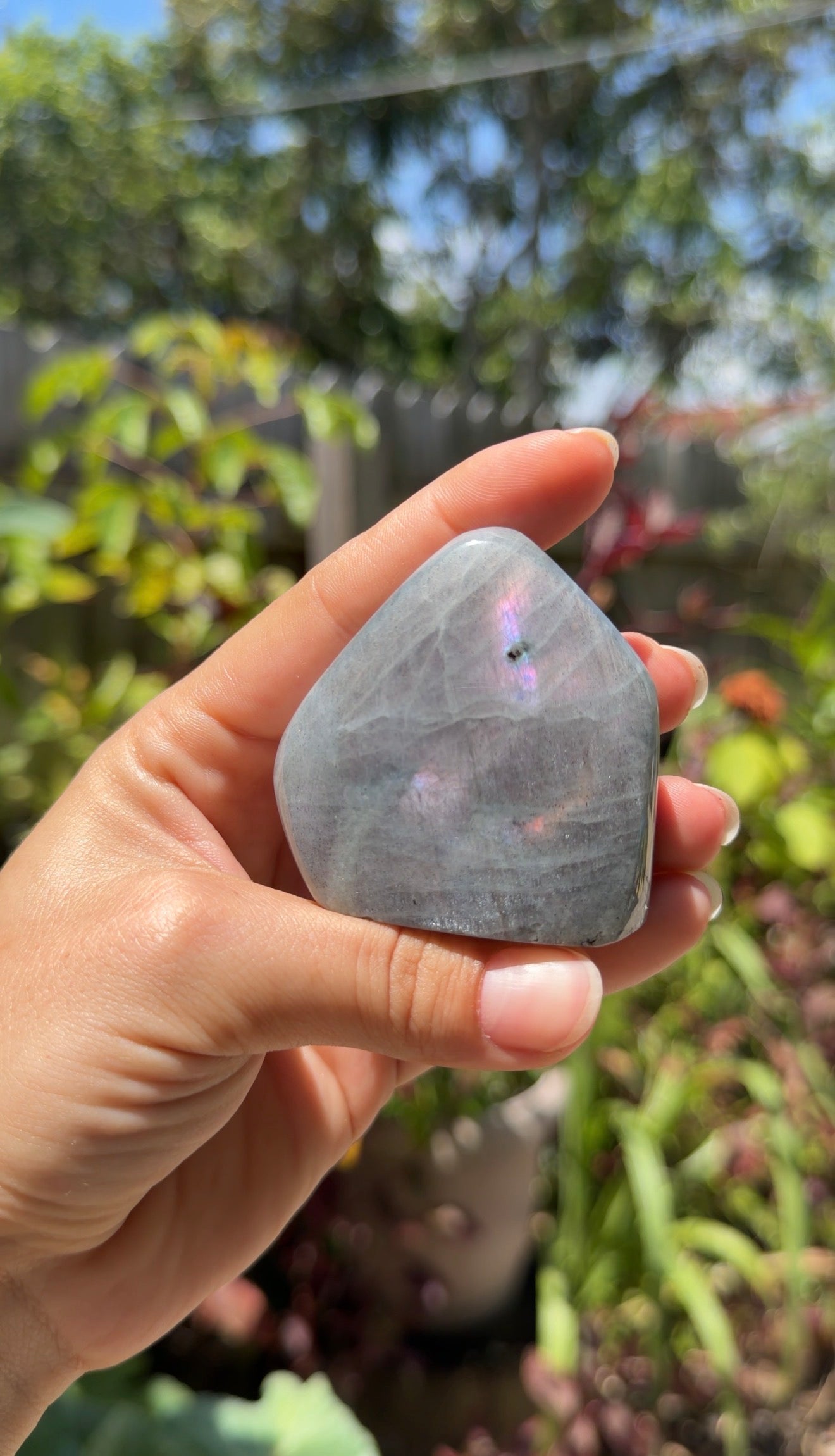 Labradorite Freeforms