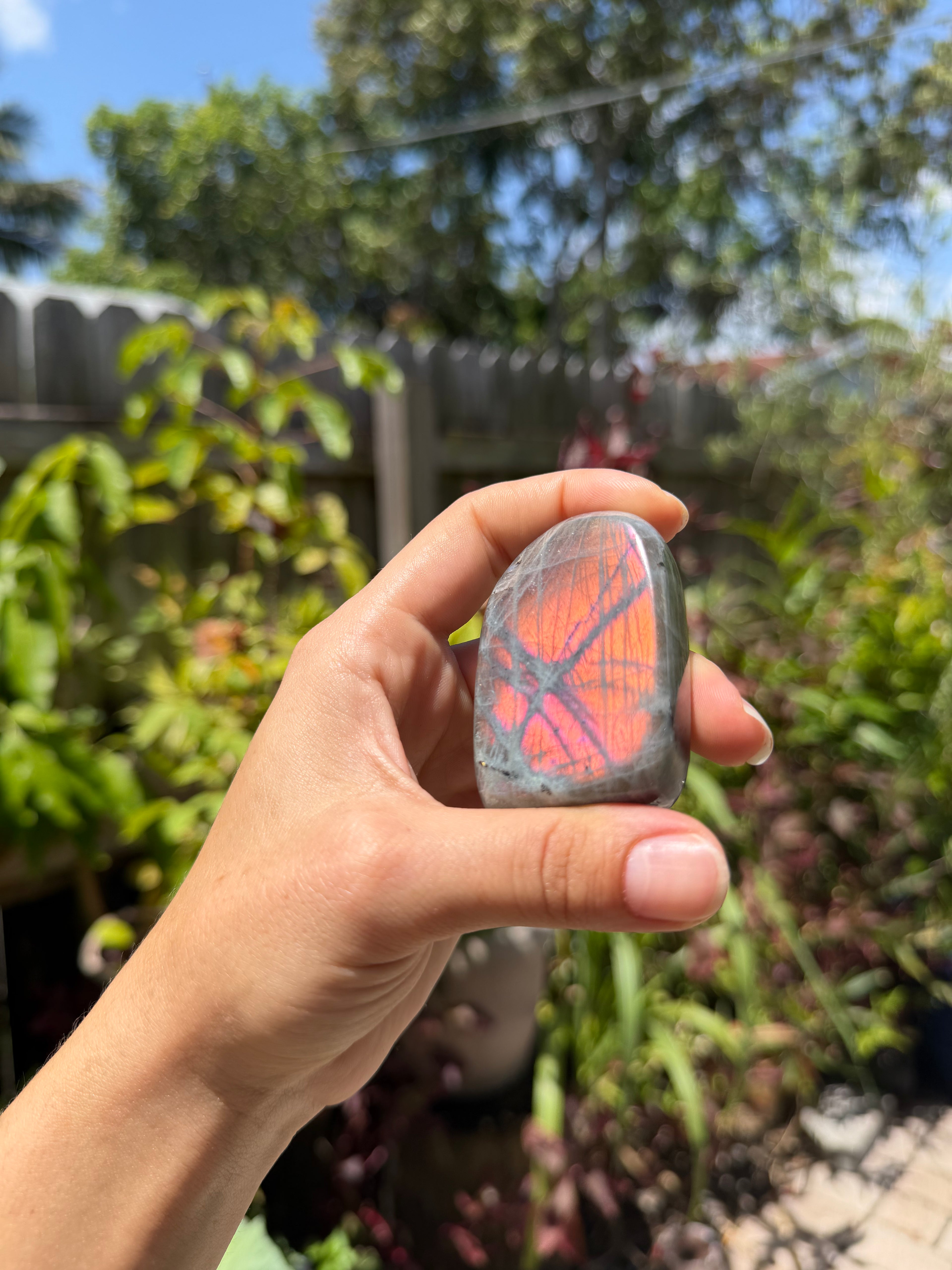 Labradorite Freeforms