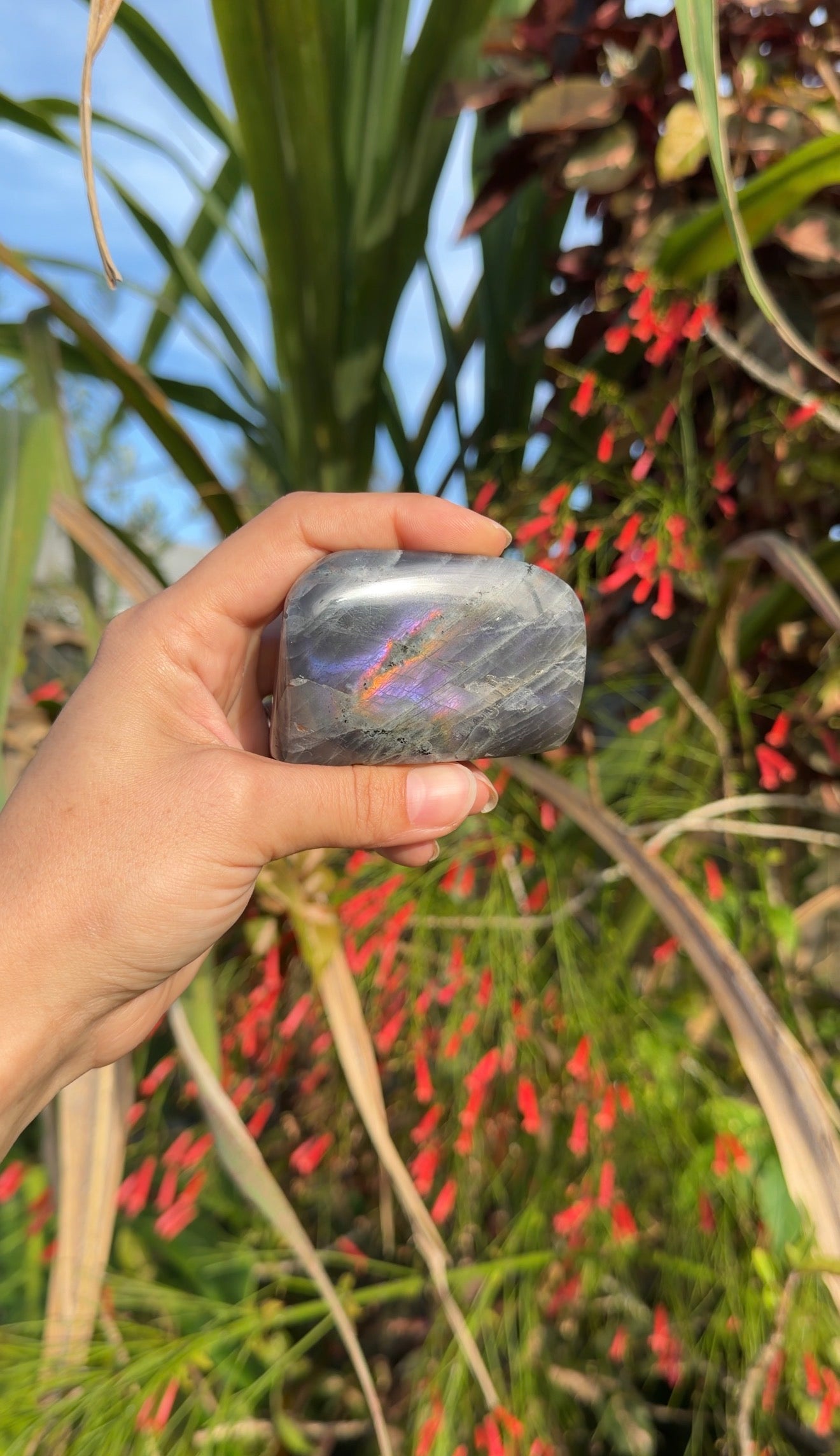 Labradorite Freeforms