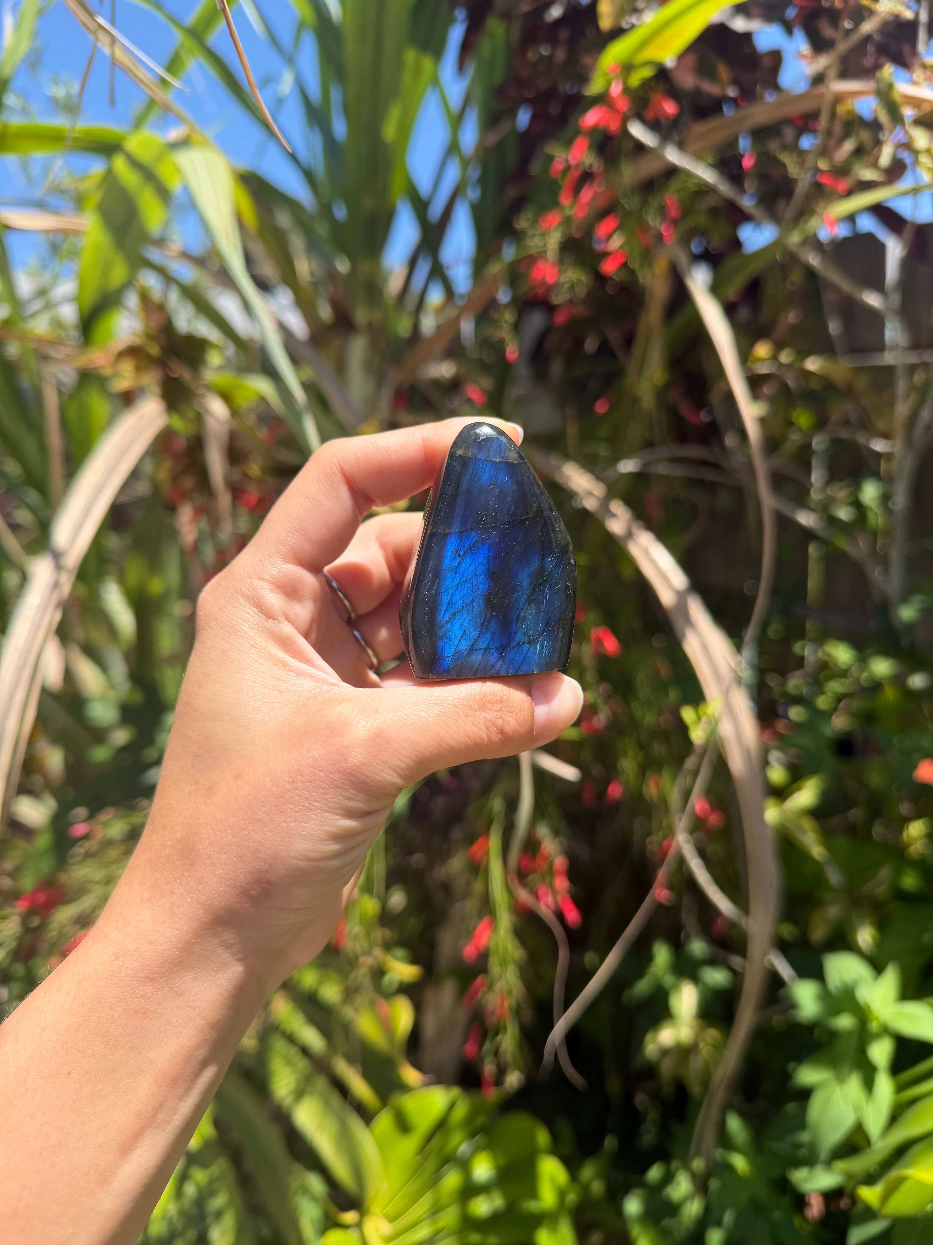 Labradorite Freeforms