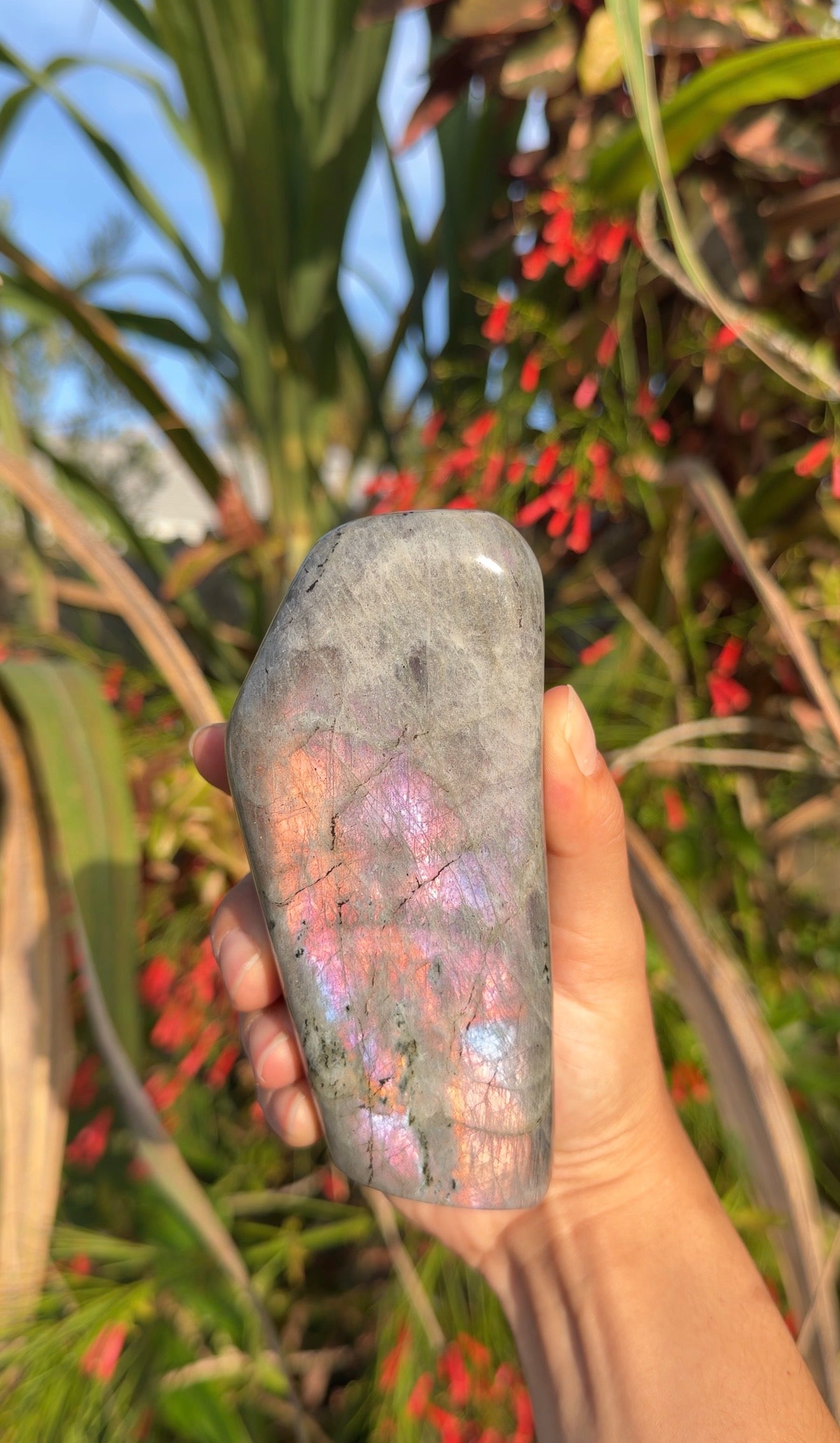 Labradorite Freeforms