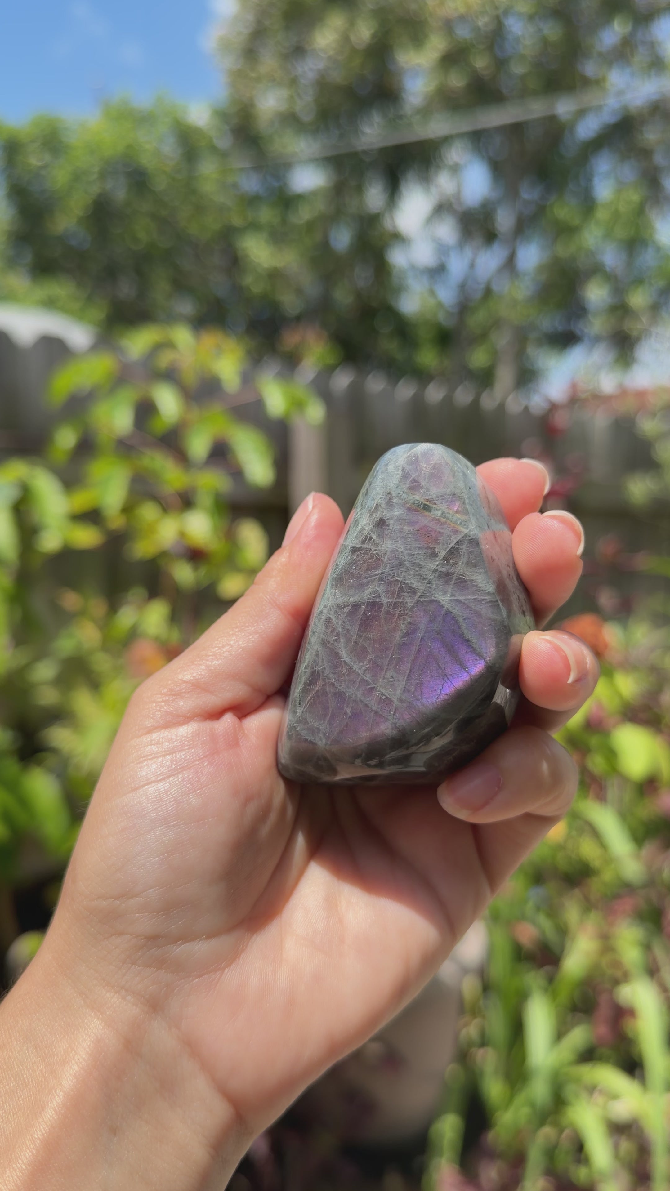 Labradorite Freeforms