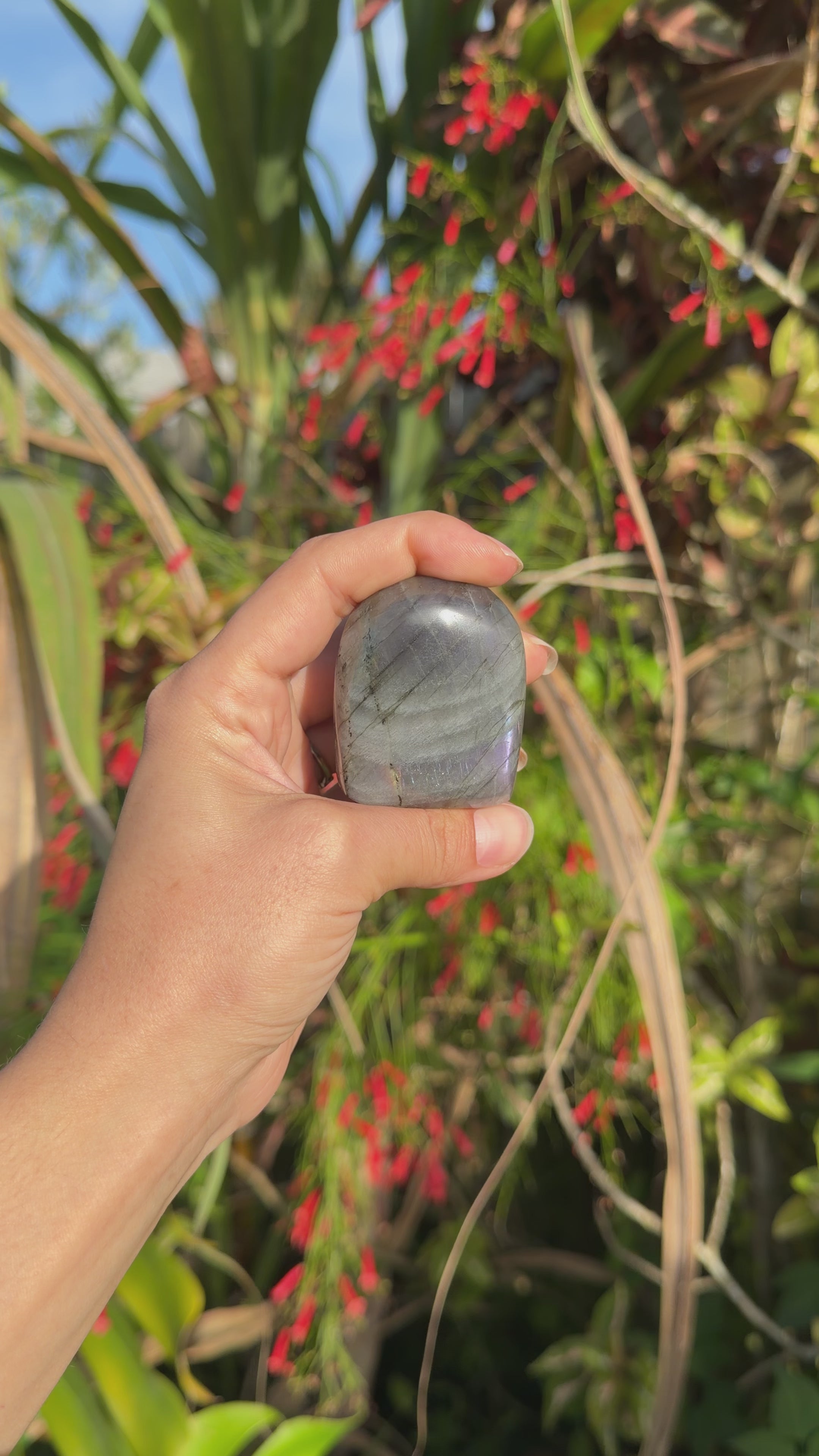 Labradorite Freeforms