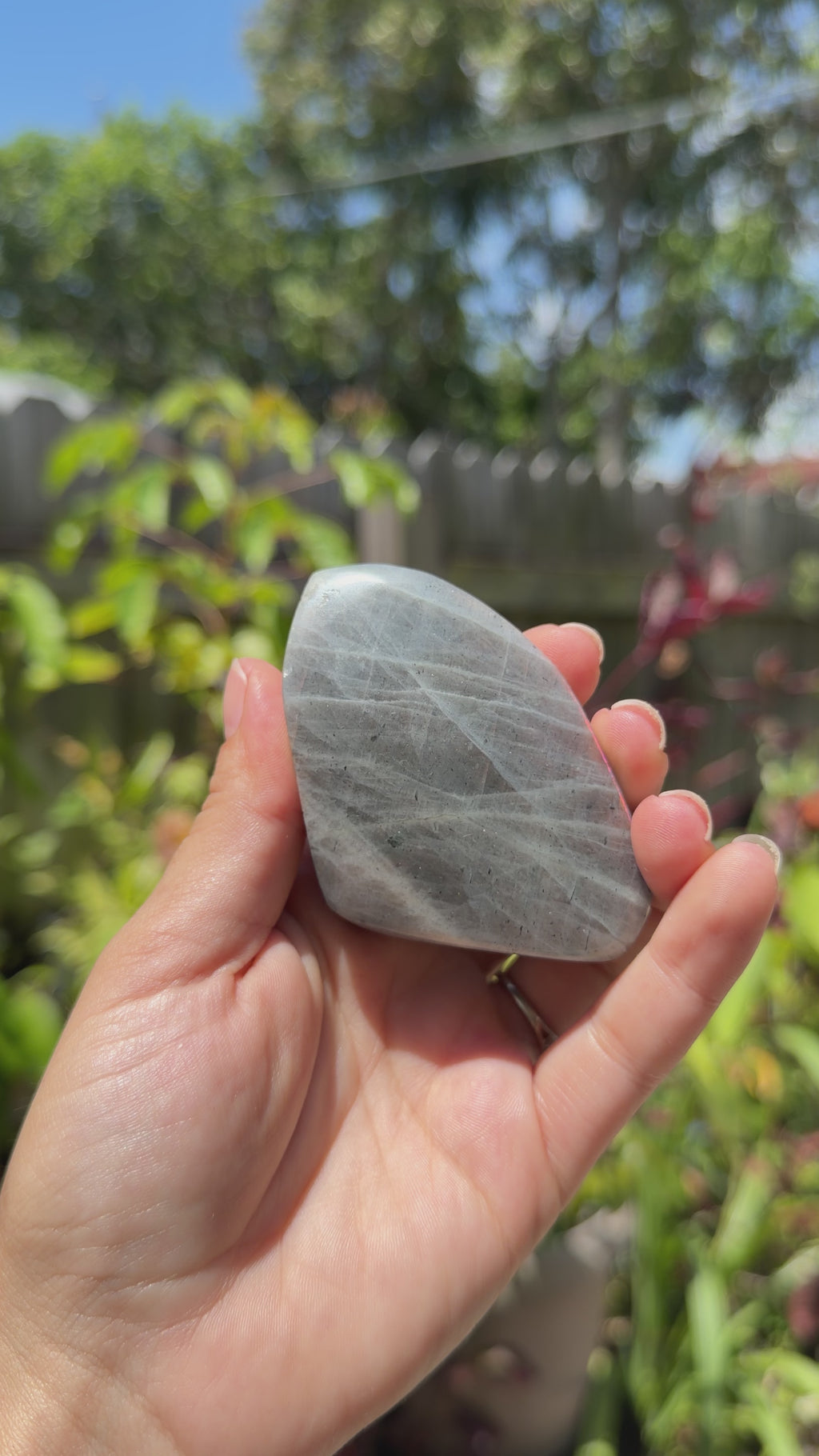 Labradorite Freeforms