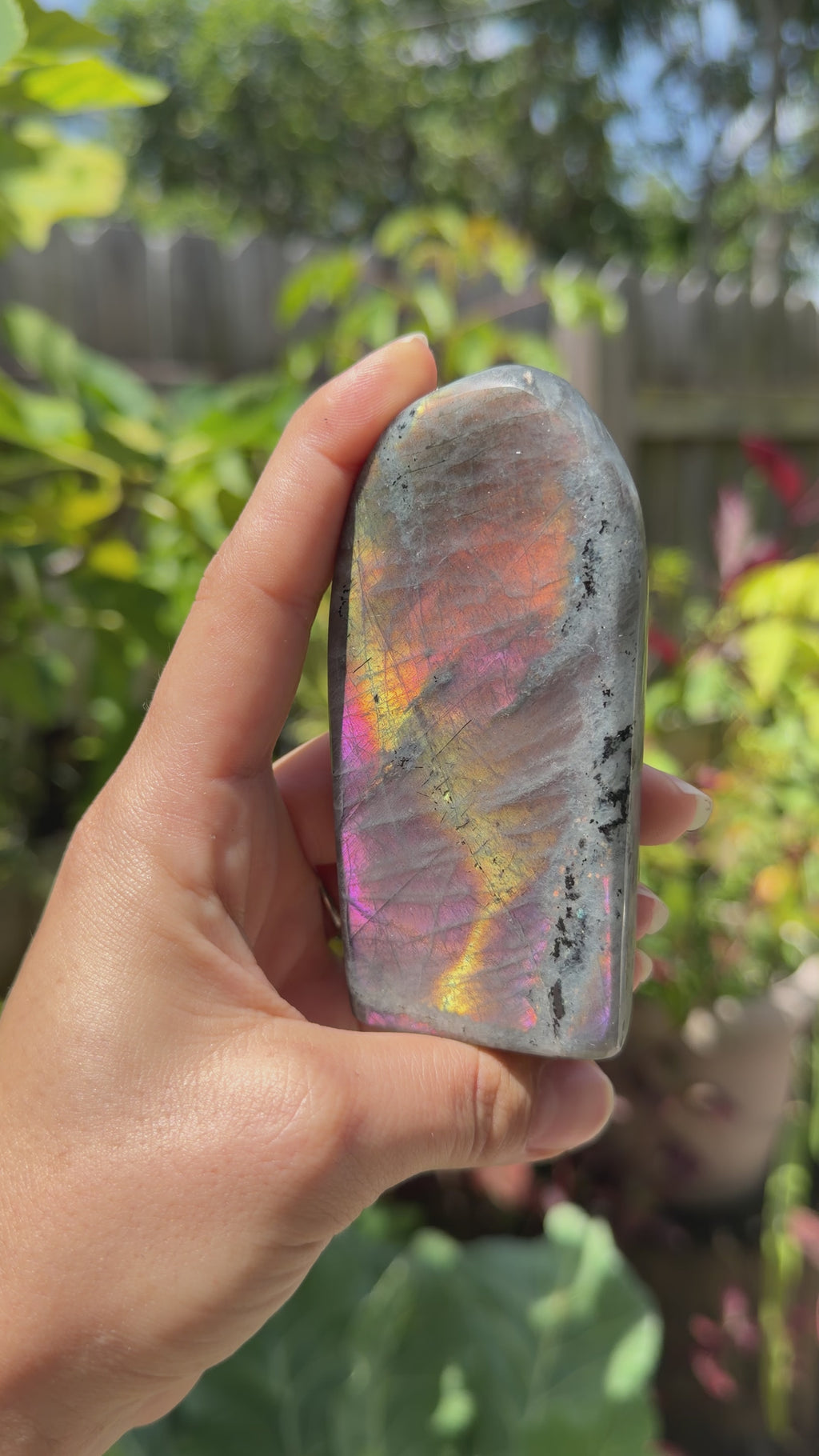 Labradorite Freeforms