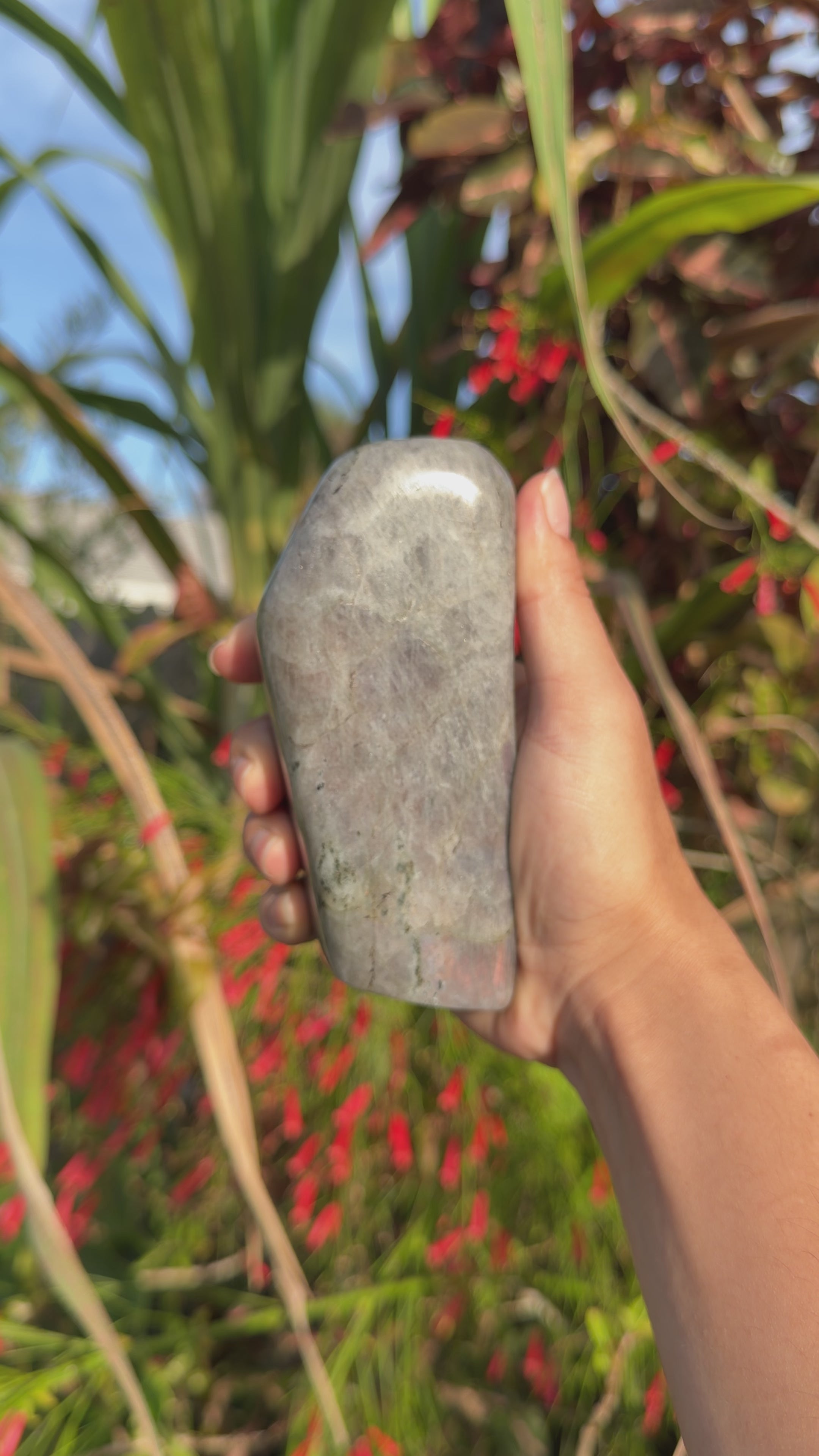 Labradorite Freeforms