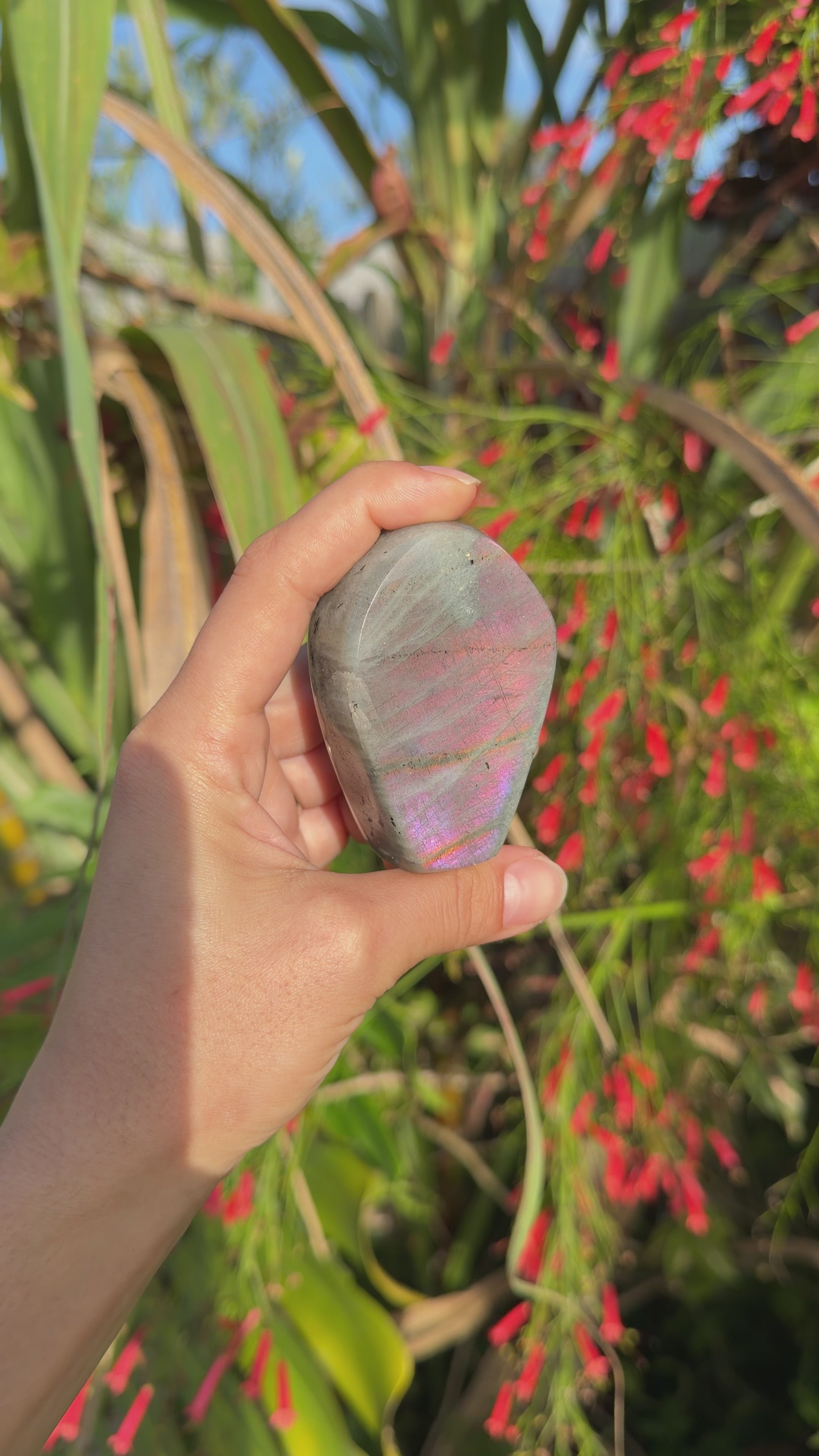 Labradorite Freeforms