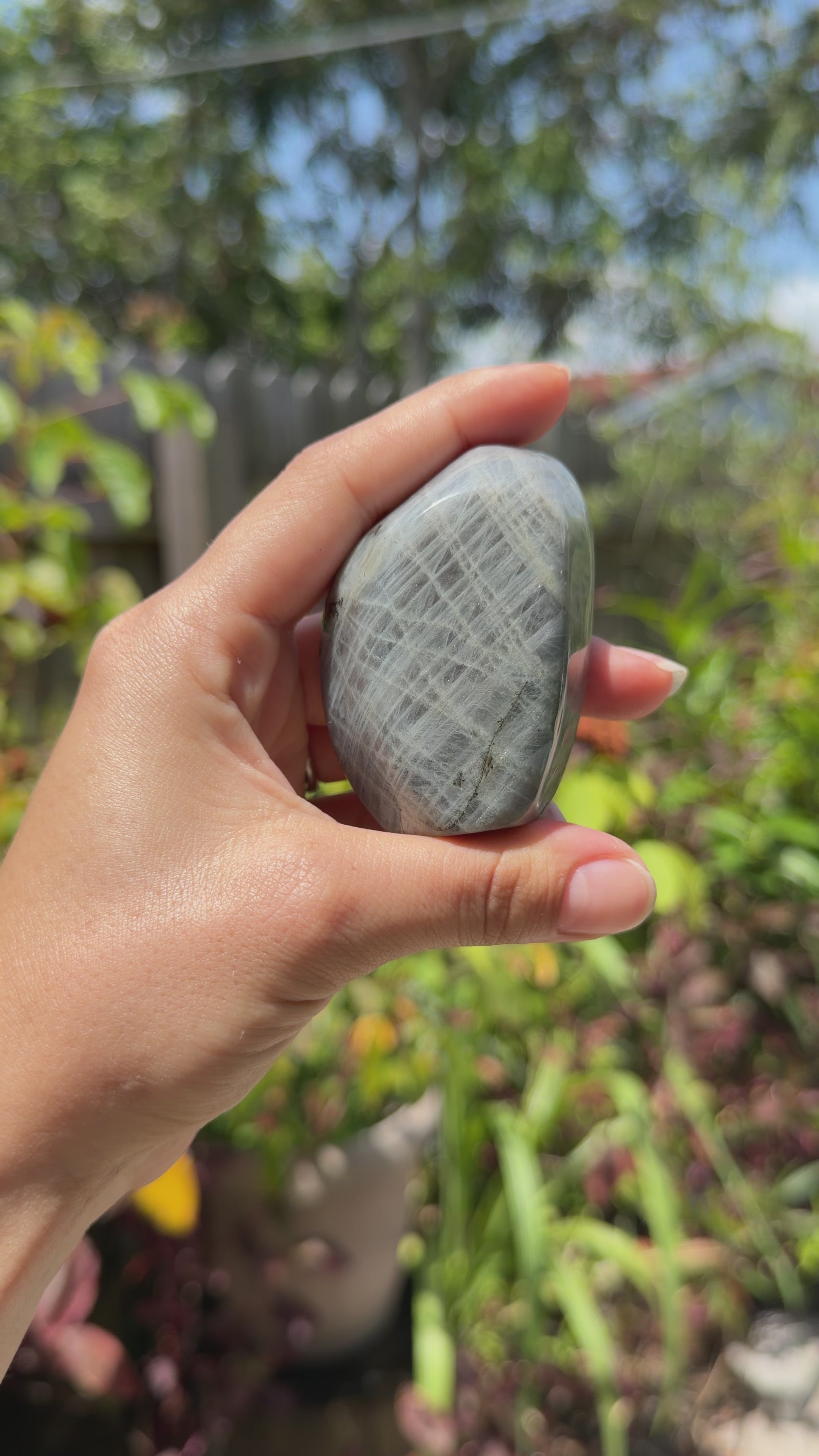 Labradorite Freeforms