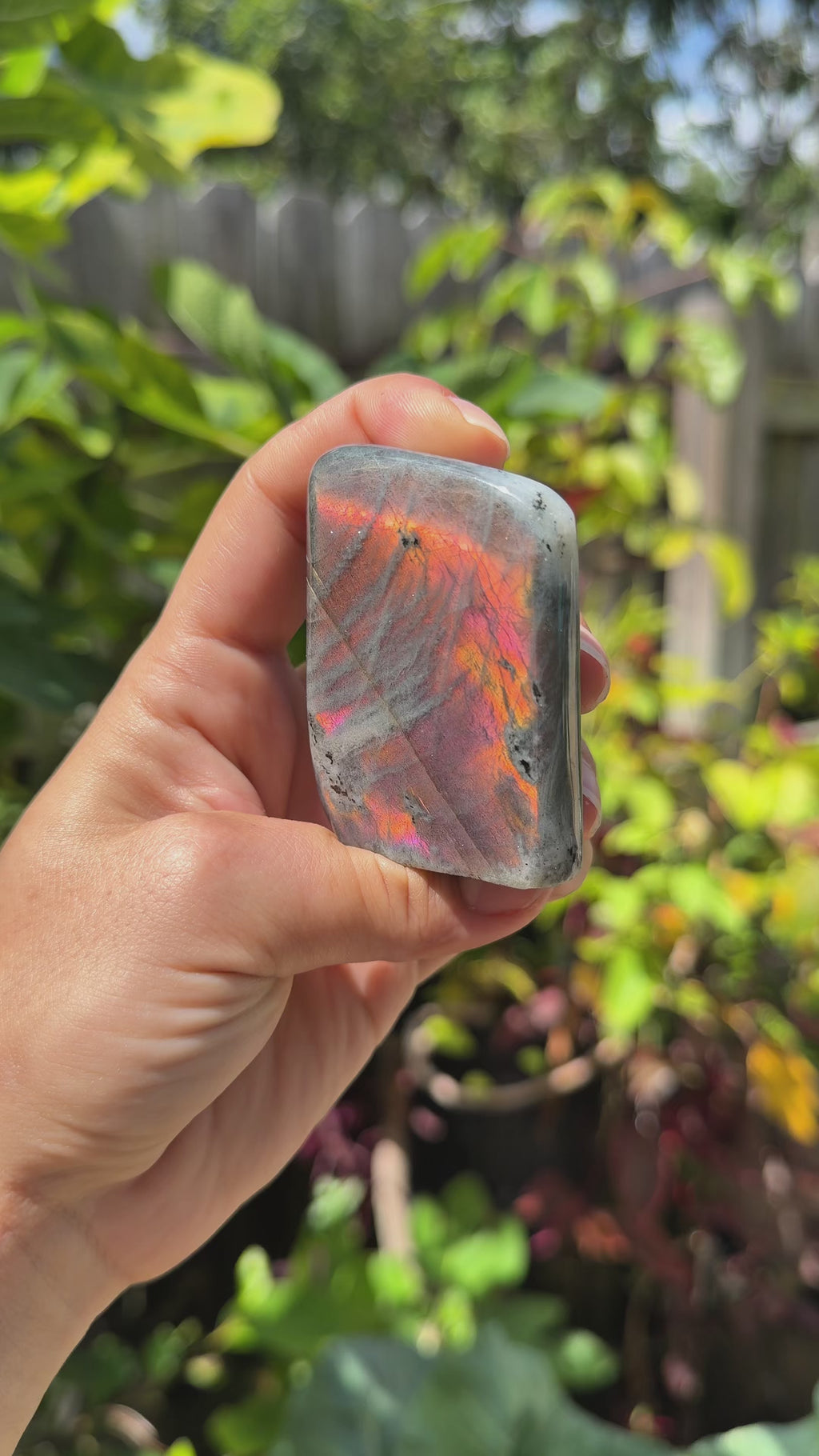 Labradorite Freeforms