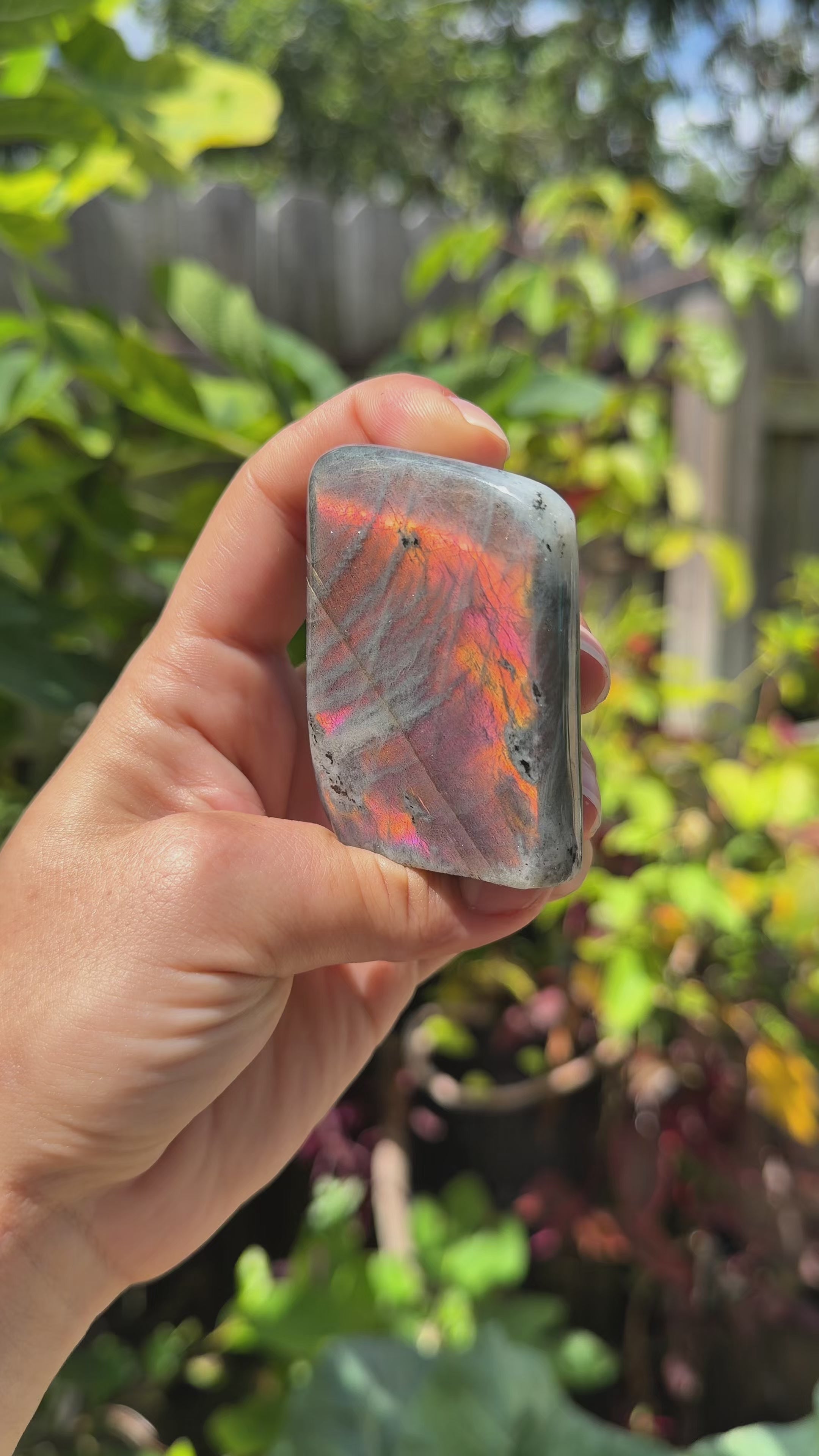 Labradorite Freeforms