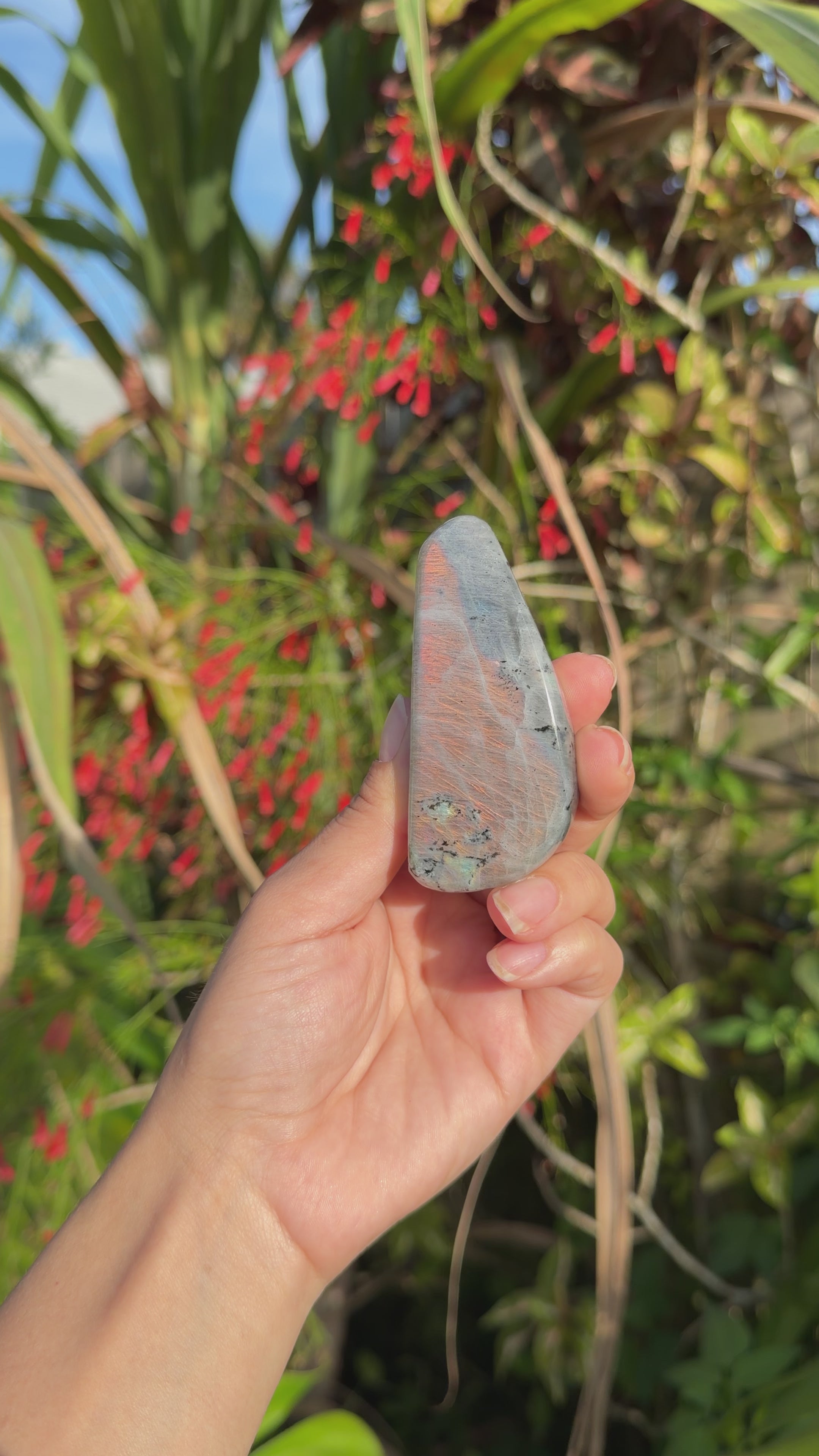 Labradorite Freeforms