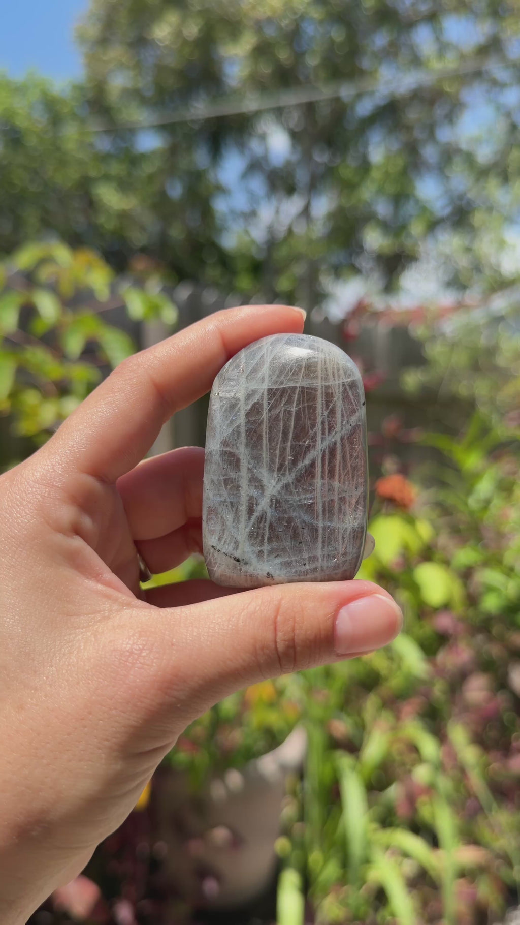 Labradorite Freeforms
