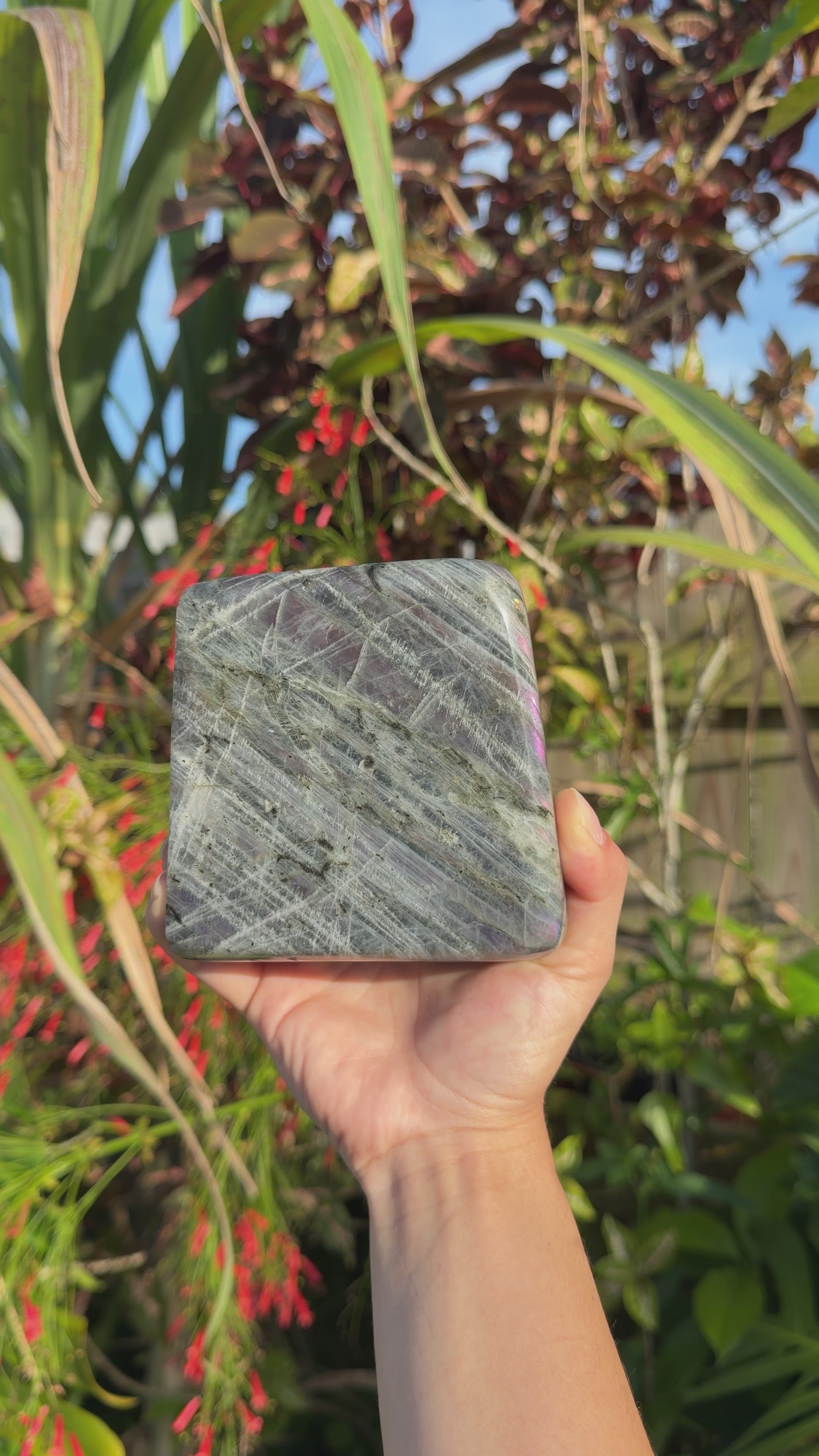 Labradorite Freeforms