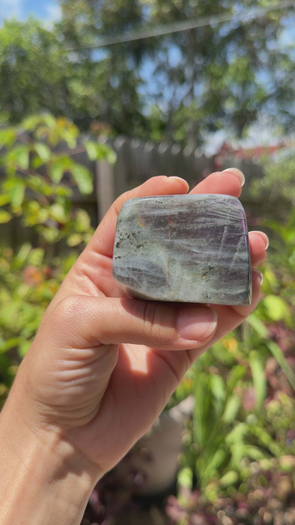Labradorite Freeforms