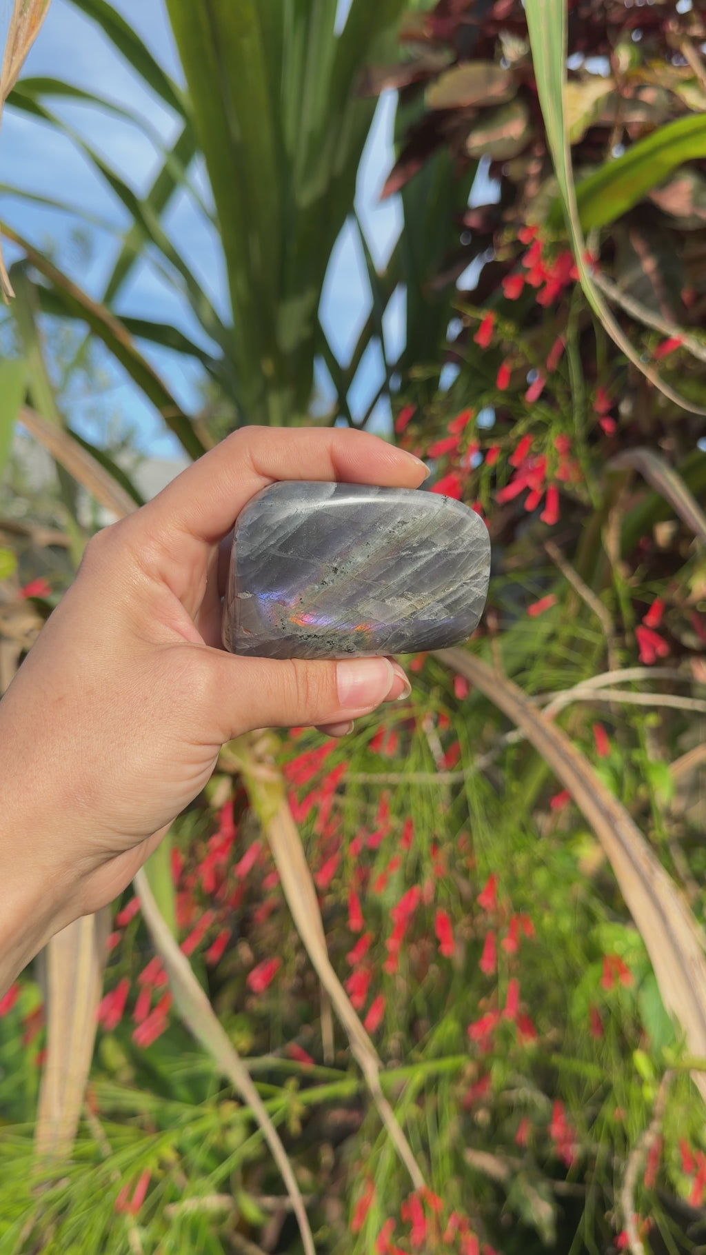 Labradorite Freeforms