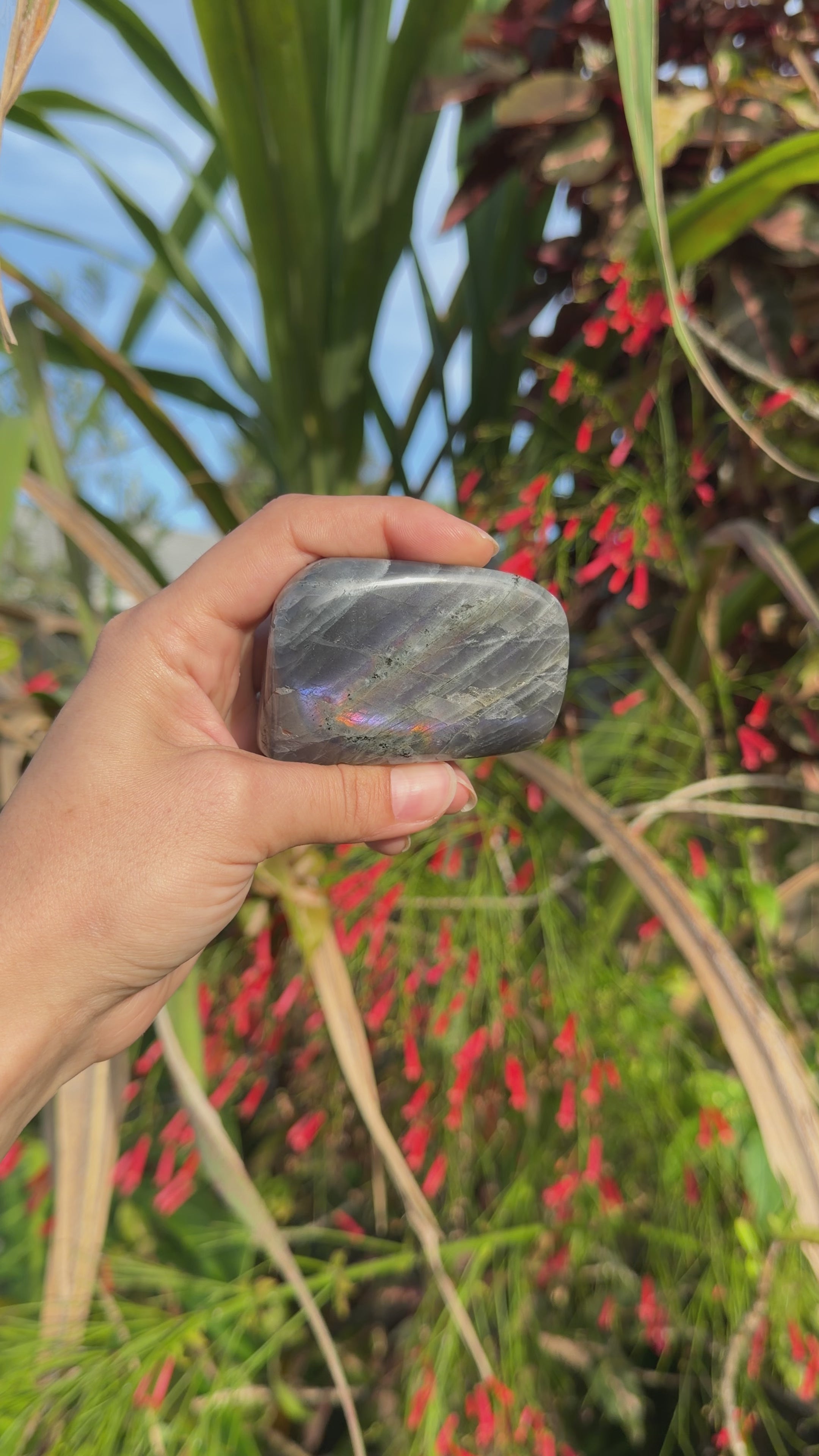 Labradorite Freeforms