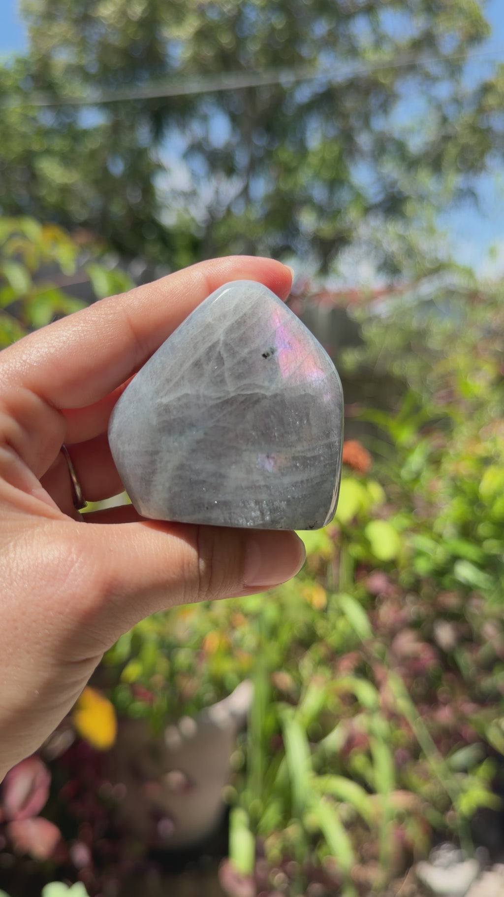 Labradorite Freeforms
