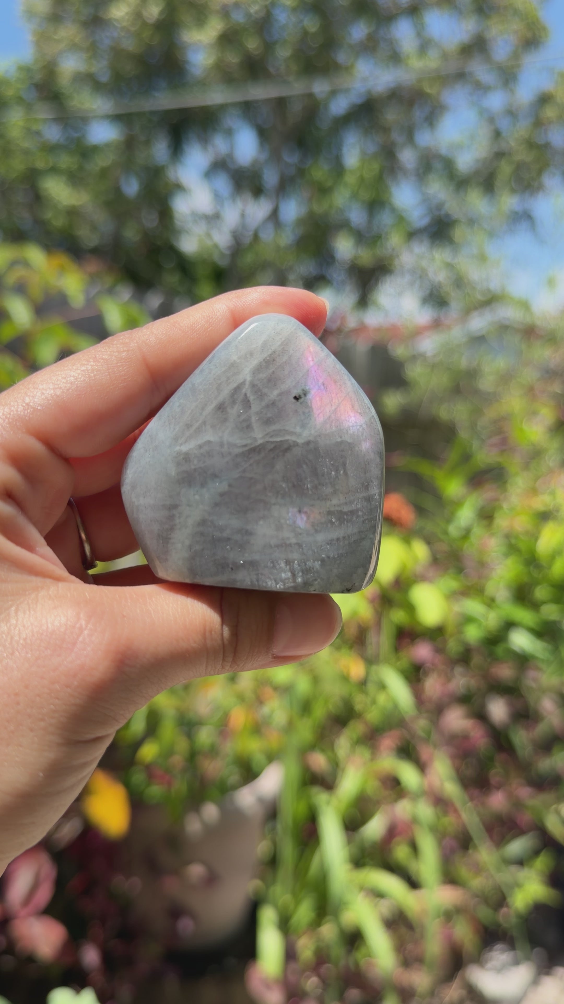 Labradorite Freeforms
